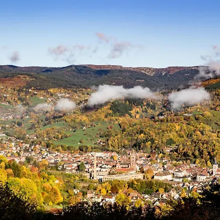 Studio St Gregoire Au Pied Des Vosges Et Vignoble ! Munster  Buitenkant foto