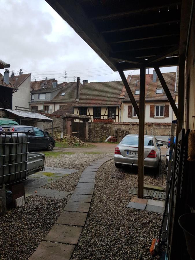 St Gregoire Au Pied Des Vosges Et Vignoble ! Apartment