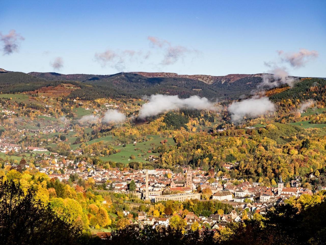 St Gregoire Au Pied Des Vosges Et Vignoble !